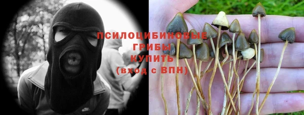 ГАЛЛЮЦИНОГЕННЫЕ ГРИБЫ Алексин