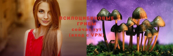 а пвп мука Алексеевка