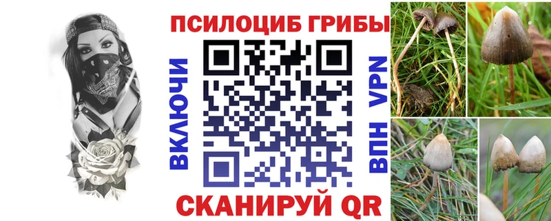 Купить где  Ачхой-Мартан  Псилоцибиновые грибы MAGIC MUSHROOMS 